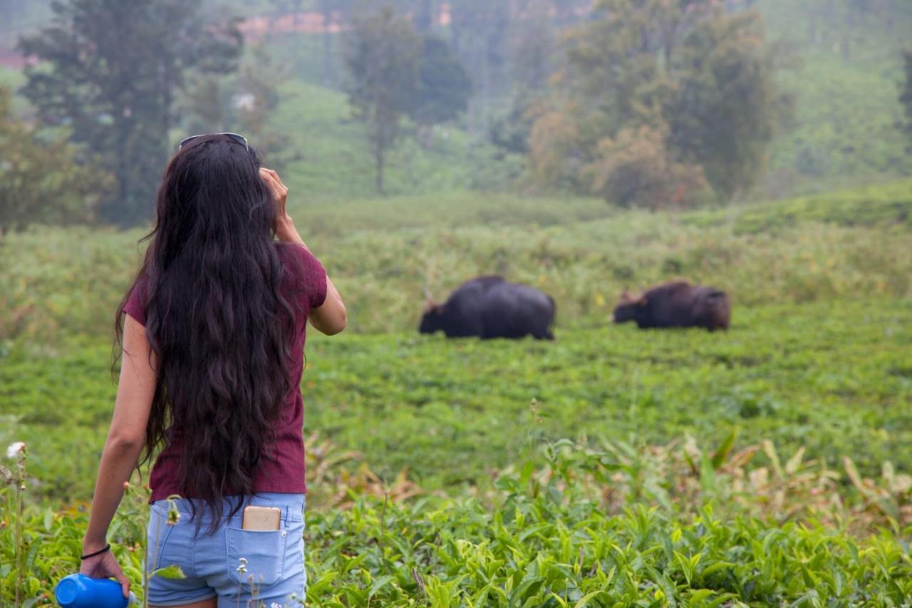 The Realm Hotel Coonoor Ngoại thất bức ảnh